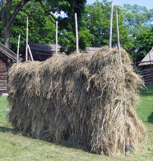 Hässja, central Sweden