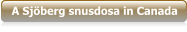 A Sjöberg snusdosa in Canada