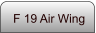 F 19 Air Wing