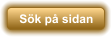 S�k p� sidan