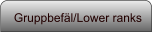 Gruppbefäl/Lower ranks