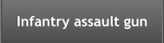 Infantry assault gun