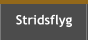 Stridsflyg