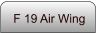 F 19 Air Wing