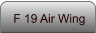 F 19 Air Wing