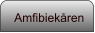 Amfibiekåren