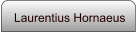 Laurentius Hornaeus